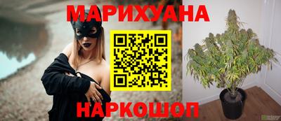 jwh Гатчина