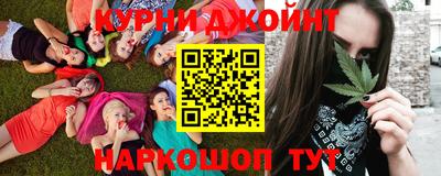 прущие крисы Гай