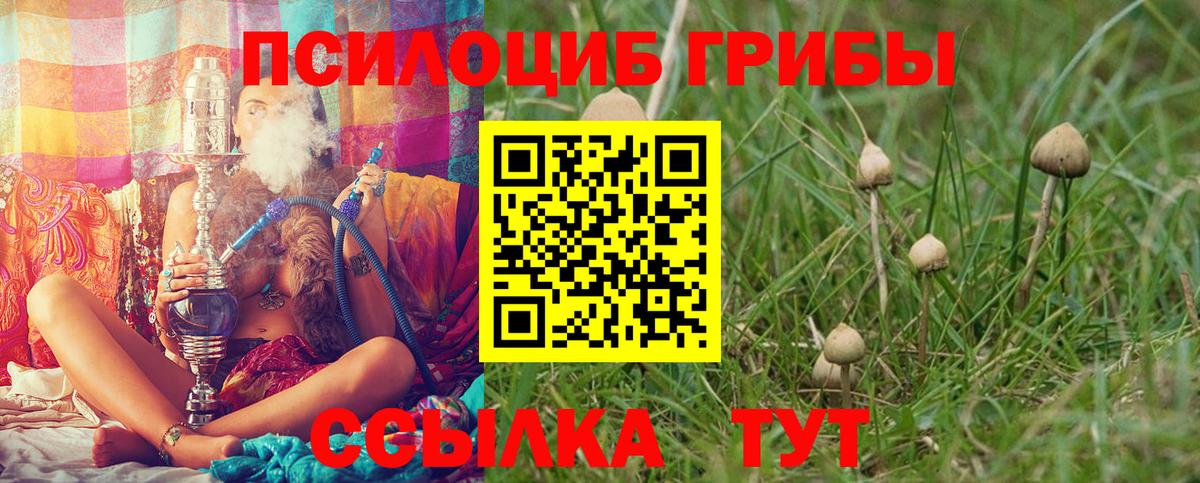 Галлюциногенные грибы Cubensis  Вход с VPN  Гагарин  Галлюциногенные грибы MAGIC MUSHROOMS 