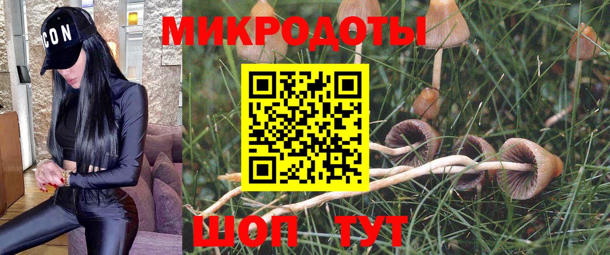 Псилоцибиновые грибы мухоморы Гагарин